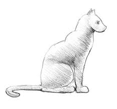 Schizzo Con Chiaro Scuro Disegno Di Un Gatto Disegni Da Copiare Facili E Belli Disegni A Matita Disegni Disegni A Matita Facili