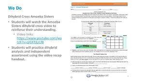 Oompas generally have gray faces, which is caused by a dominant gene. Amoeba Sisters Monohybrid Crosses Answer Key Monohybrid Cross Practice Worksheets Teaching Resources Tpt Dihybrid Cross Practice Worksheet Answer Key Dihybrid Cross Worksheet Answer Key And Pea Plant