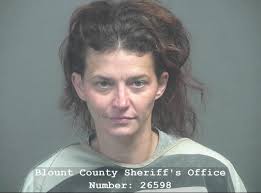 Blount county arrest records available