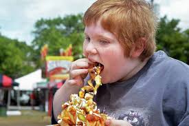 Capital Region fairs 2015