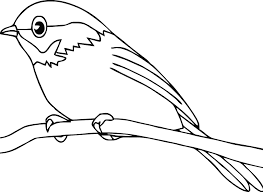 Easy robin bird coloring page. Robin Bird Coloring Pages For Kids Printable