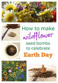 Easy Earth Day Craft Wildflower Seed Bombs Earth Day Crafts Seed Bombs Earth Day