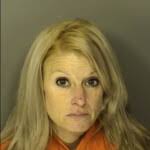 Horry County Mugshots February 11th, 2025