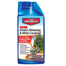 Bioadvanced Fungus Control For Lawns Home Depot Bioadvanced 32 Oz Concentrate 3 In 1 Insect Disease And Mite Control 708285a The Home Depot Powdery Mildew Insect Protection Bayer Advanced