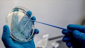 And the coalition for epidemic preparedness innovations (cepi). Germany To Buy 23 Stake In Firm To Spur Virus Vaccine