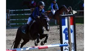 Dès lors, quelle force légitime et consensuelle pourrait combler ce «gouffre» et réveiller le souverainisme ? Solidarite Au Centre Equestre Des Deux Rives A Strasbourg Des Galops Pour Les Restos