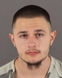 Adams DA: Teen pleads guilty in fatal Thornton stabbing of 18-year-old