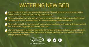Winter may seem like the wrong time to lay sod—but for many states, it's a totally safe time to install new grass and even carries a few benefits. Caring For New Sod A Guide The Turfgrass Group Inc