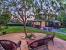 Beautiful House With Big Backyard