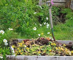 How To Start A Compost Heap Garden Compost Organic Compost Amazing Gardens