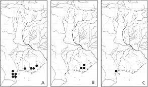 Image result for Scytopetalum pierreanum