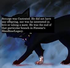 View at your own risk. Your Warriors Headcanons Warrior Cats Books Warrior Cats Warrior Cats Quotes