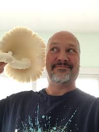 Cross breeding B and Yeti mushroom strains