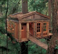 Put the load over the base of the tree, not on one side. Five Simple Tips For Harmonious Treehouse Building Treehouse By Designtreehouse By Design So You Thinking About Building A Tree House