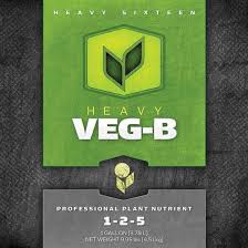 Heavy 16 Veg Part B 1 Gallon
