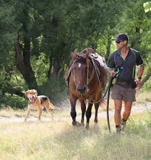 B+LNZ Western North Island director candidate Andrew Stewart makes his  pitch