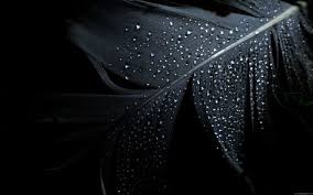 Background Black Fashion 1080p Black And Gold Glitter Wallpaper Wallpaper Collection 37 Best Free Hd 1080p Desktop Backgrounds Background To Downlo In 2020 Black Desktop Background Black Background Wallpaper Cool Black Wallpaper