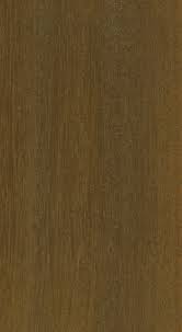 Image result for Lovoa swynnertonii