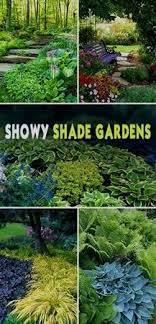Guerrilla Gardening Meaning In Tamil Gardening Gloves Women Digz Volleyball Tournament Gardening Express Uk Review Shade Garden Shade Garden Plants Plants