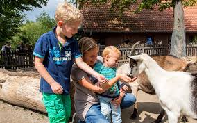 Grimberger Hof Zoom Erlebniswelt