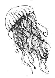 Apr 15, 2020 · how to draw a jellyfish easy step by step for kids. Pencil Ocean Animal Drawing Novocom Top
