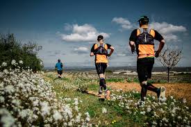 Fontanars Dels Alforins Las Provincias