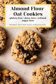 Almond Flour Cookies Loaded With Chocolate And Rolled Oats Recipe In 2020 Sugar Free Oatmeal Cookies Almond Flour Cookies Sugar Free Oatmeal