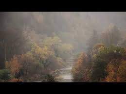 Relaxing Instrumental Music For Sleeping Meditating Stress Relief Studying Spa Yoga Youtube