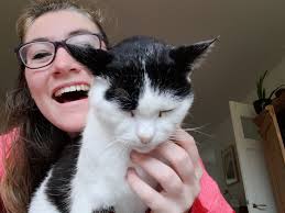 Temporary pet sitting services offered