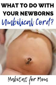 How To Care For Your Newborn S Umbilical Cord Stump Newborn Care Tips Baby Care Tips Newborn Tips And Tricks Newborn Baby Care Tips Newborn Care Newborn