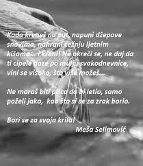 Maybe you would like to learn more about one of these? Mesa Selimovic Cool Words Perfection Quotes Inspirational Quotes