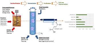 Fumaric Acid Formula - Structure, Properties, Uses, Sample Questions