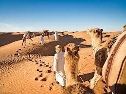 Camels would have an unique trait to them, which is that they allow 2 players to ride on them. What It S Like To Ride Camels Through The Sahara Conde Nast Traveler