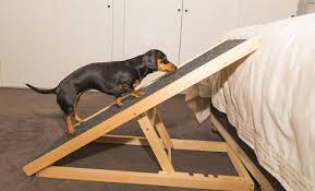 Dachramp Alpha Paw Dog Ramp Diy Pet Ramp Dog Ramp For Bed