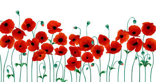 День пам'яті та примирення і день перемоги над нацизмом у другій світовій війні, як офіційно називаються заходи 8 та 9 травня, полягатимуть у виступах військових оркестрів, покладаннях квітів та. Sogodni V Ukrayini Vidznachayut Den Peremogi Nad Nacizmom U Drugij Svitovij Vijni Rubrika