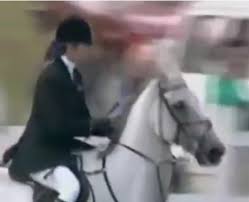 Une chaussette rouge va provoquer une rencontre inattendue. Maria Alejandra Camacho Stableexpress