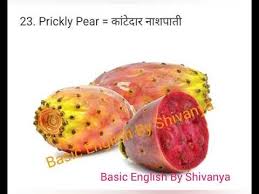 Fruits Name Fruits Name With Spelling Fruits Name In English Hindi Preschool Kindergarden Youtube Fruits Name In English Fruit Names Fruit