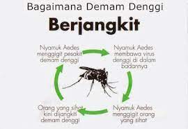 Suntikan air ke dalam salur darah pesakit yang dimasukkan ke dalam hospital selalu diberikan rawatan ini iaitu air terus dimasukkan ke dalam salur darah melalui jaram. 7 Tanda Demam Denggi Anda Perlu Tahu Genkimomma My