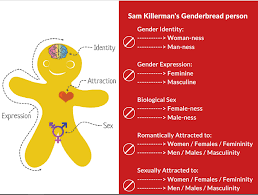 Understanding Intersectionality The Red Elephant