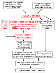 Identify clinical trials that may be treatment options for you. Cancer Wikipedia