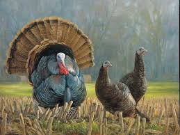 Nov 09, 2011 · this wood sample is dated at 120±25 years bp and 135±30 years bp. 31 Woodburning Turkey Ideas Turkey Drawing Turkey Coloring Pages Wild Turkey