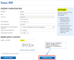 Uznat Inn Po Pasportu Proverka Cherez Internet Fns Gosuslugi