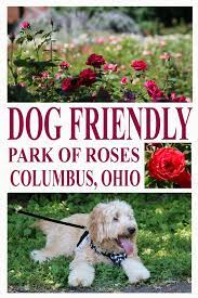 Dog Friendly Columbus Ohio Destinations Dog Friends Ohio