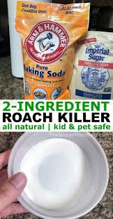 100% natural, non toxic, and proven to kill insects on contact. Pin On Homemade Ant Killer Ingredients