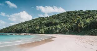 Book hotels near flamenco beach. How To Get To Flamenco Beach Culebra Trvl Collective
