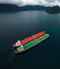 Image result for Tan 2021 Fleet