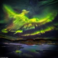 The Phoenix Rises Northern Lights Take On Form Of Legendary Bird Northern Lights Aurora Borealis Aurora