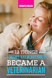 We did not find results for: All Pets Vet Clinic Narrabri The Y Guide