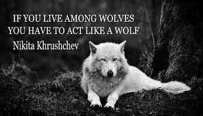Contact Support Wolf Quotes Wolf Incredible Quote