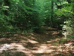 Wahlendorf post, wendeplatz bern konumunda bulunuyor. Bremer Zick Zack Trail Bern Mittelland Bern Mtb Trail Komoot